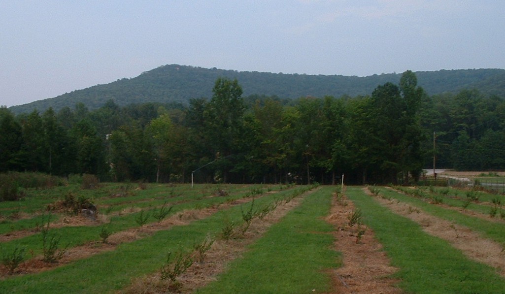 Pendley Farms Our Story